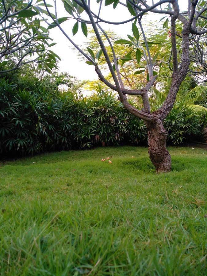 Villa Mimpi Manis Infinity Pool&180°Ocean View آميدْ المظهر الخارجي الصورة